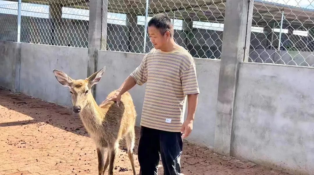 威尼斯评级